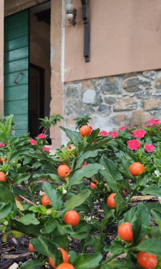 Dimora Marella Patrica - Frosinone Hotel Bagian luar foto