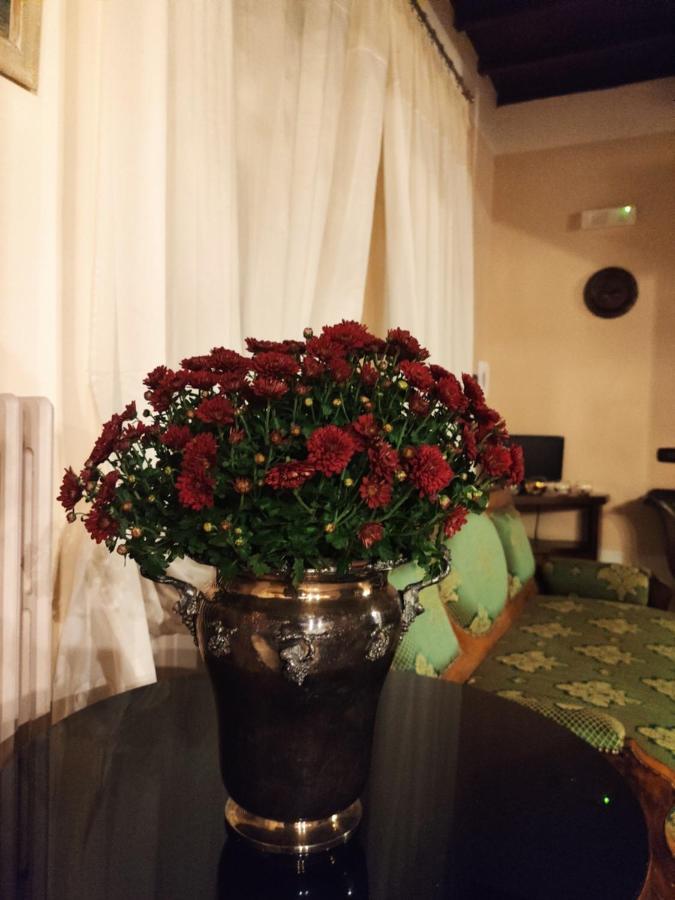 Dimora Marella Patrica - Frosinone Hotel Bagian luar foto
