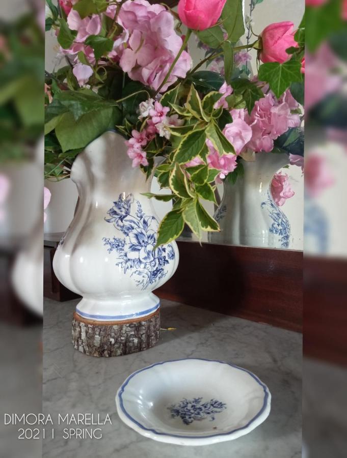 Dimora Marella Patrica - Frosinone Hotel Bagian luar foto