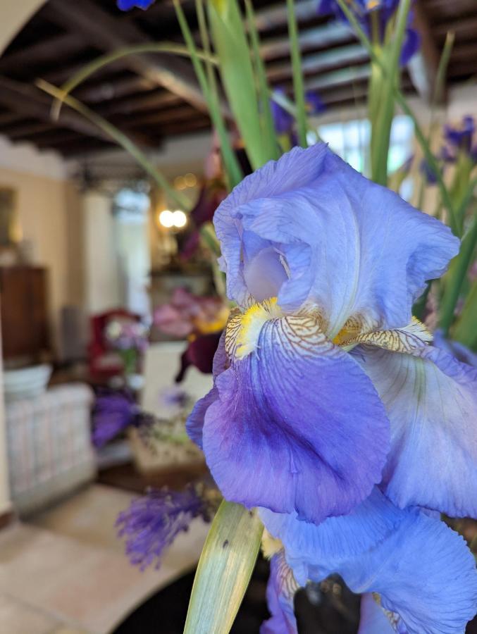 Dimora Marella Patrica - Frosinone Hotel Bagian luar foto