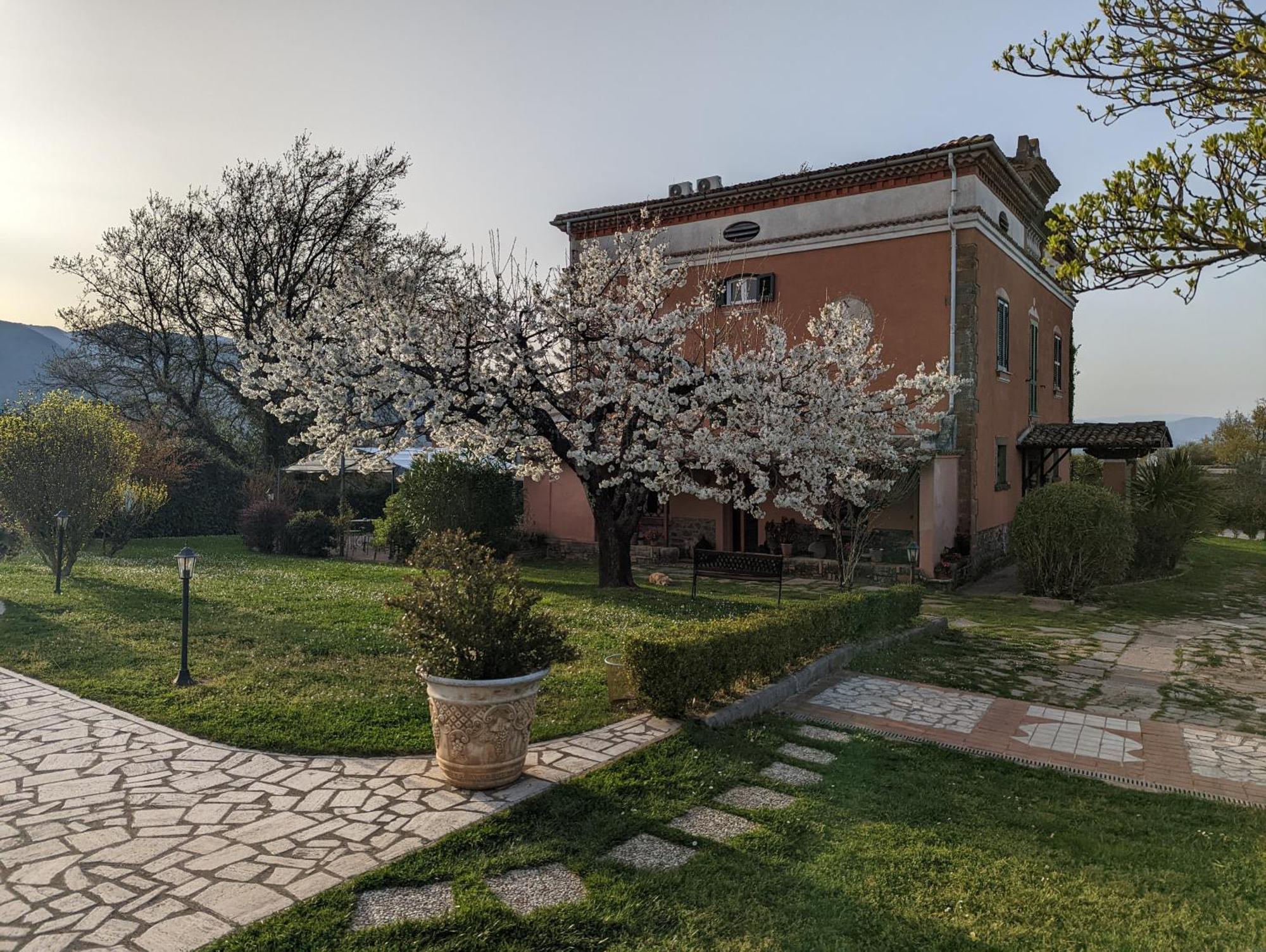 Dimora Marella Patrica - Frosinone Hotel Bagian luar foto