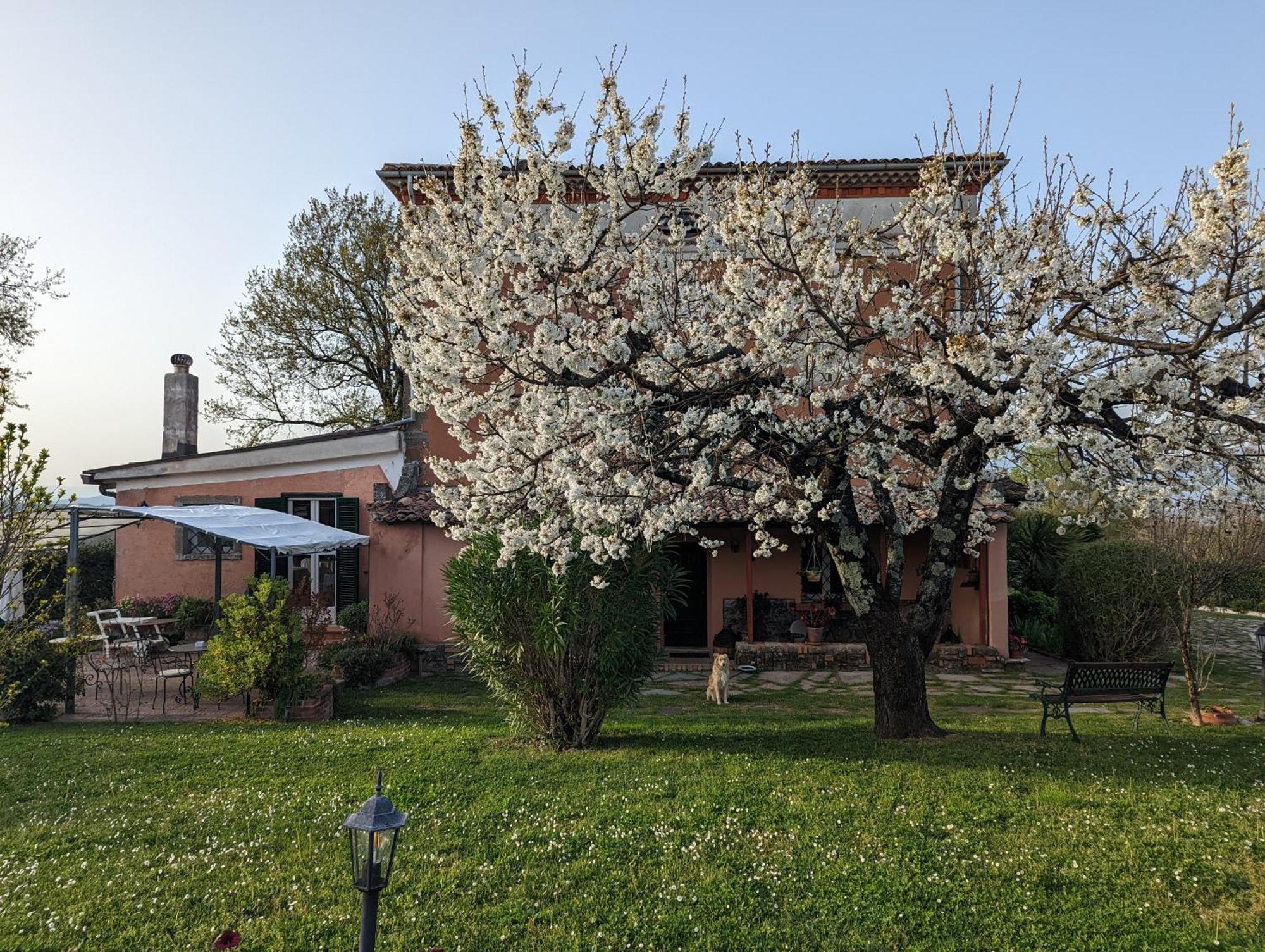 Dimora Marella Patrica - Frosinone Hotel Bagian luar foto